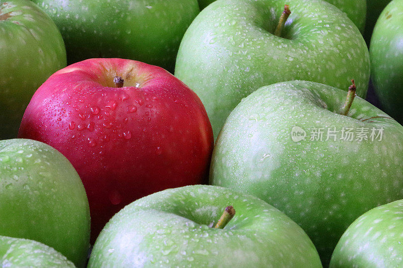 单个红苹果的全画幅图像，周围是一大群绿色的史密斯苹果(Malus domestica)，有茎，光滑，有斑点的果皮，重点在前景，奇怪的一个概念